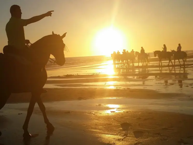 Atardecer a caballo por la playa de Conil